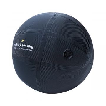 Aqualine Aquaball L zwart