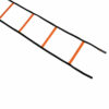 stroops-rigid-rung-ladder-cut-500x500--100x100.jpeg