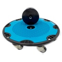 flex-dome-largedisc-2.jpg