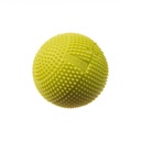 tgc_1368.jpg