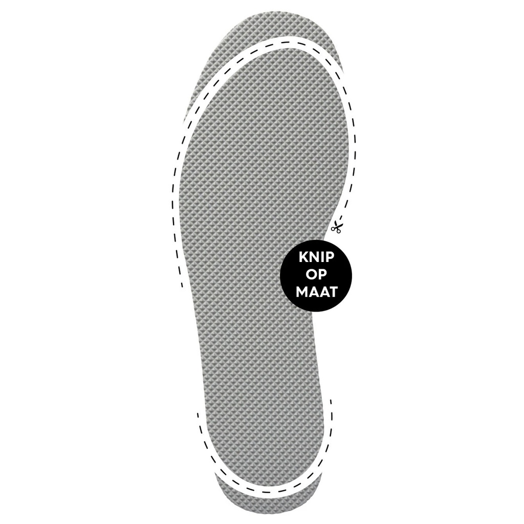 naboso-neuro-insole-5_2.jpg
