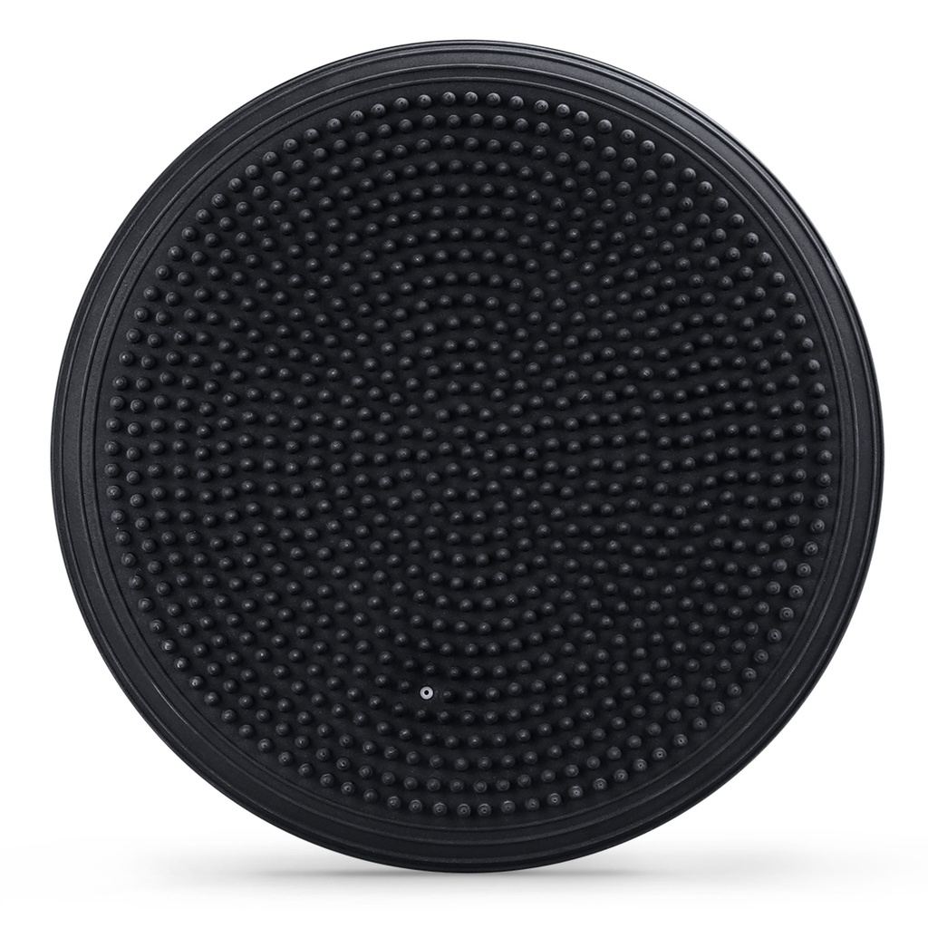 PTP - STABILITY DISC