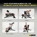 MX Select Adjustable Training Bench