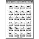 FLOWIN Poster Upper Body