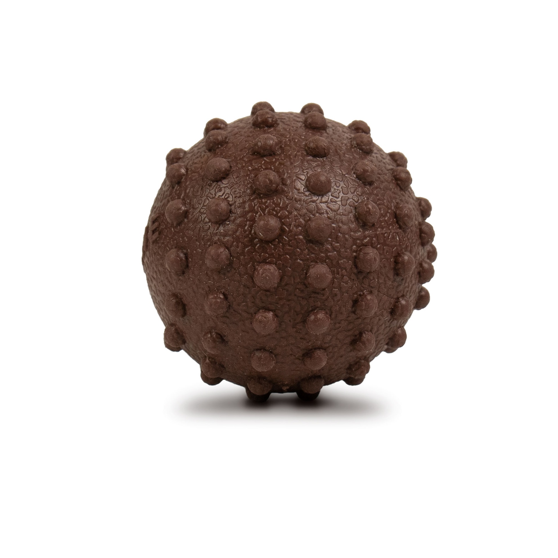 BAHE - THERAPY BALL
