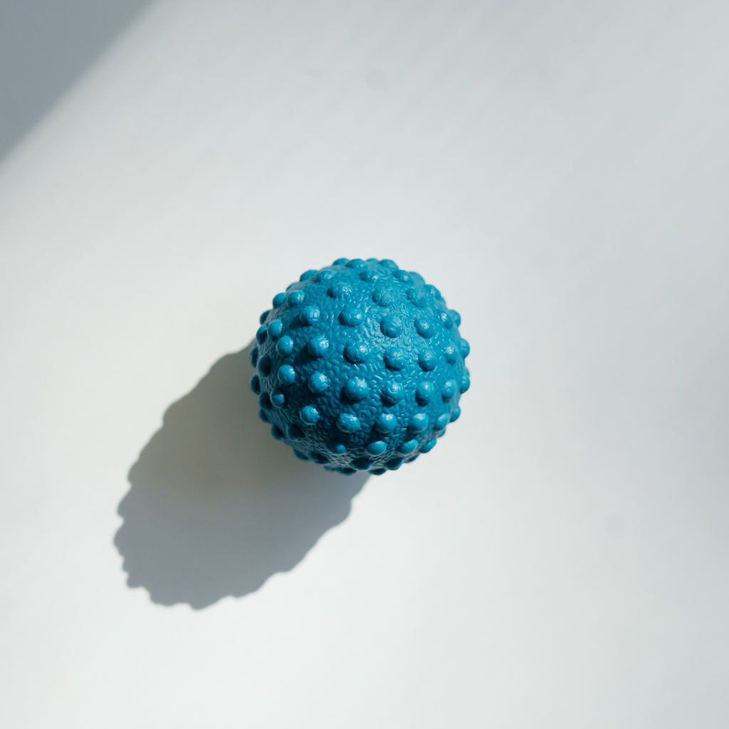 Gait Happens - Mobility Ball