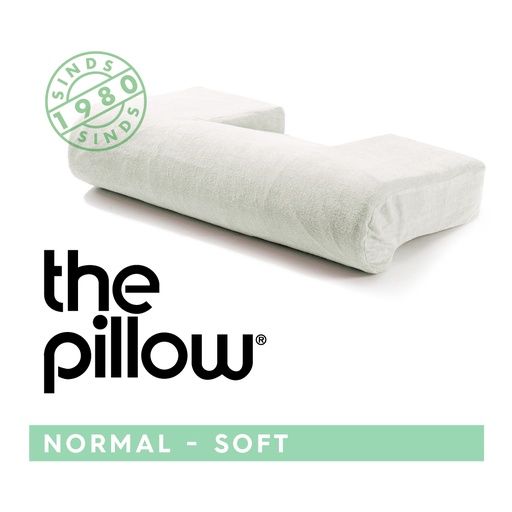 [031102] The Pillow Normal soft