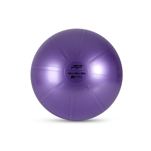 [PTP-CBPRO 55CM PEARL VIOLET] PTP - COREBALL 55CM 