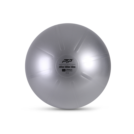 [PTP-CBPRO 75CM STEEL GREY] PTP - COREBALL 75CM