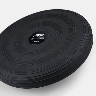 [PTP-SD1] PTP STABILITY DISC