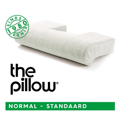 [031101] The Pillow Normal standaard